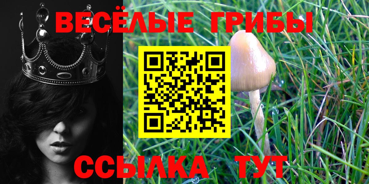Северобайкальск  где купить наркоту  Псилоцибиновые грибы Magic Shrooms  Вход с VPN  Псилоцибиновые грибы MAGIC MUSHROOMS 