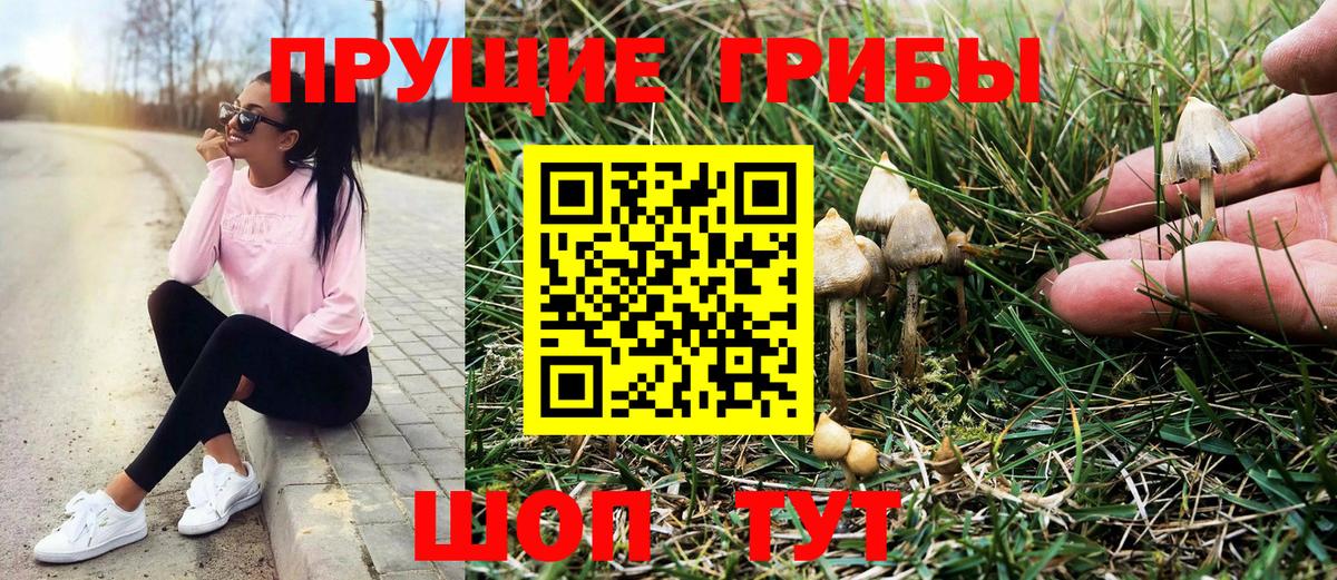Галлюциногенные грибы мухоморы Северобайкальск